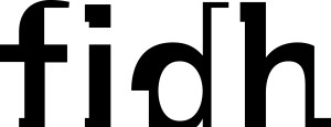 logo FIDH_seul